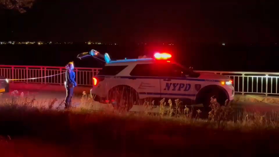 Woman critical after being stabbed in neck while out for a jog in Brooklyn
       — Great Neck Community news