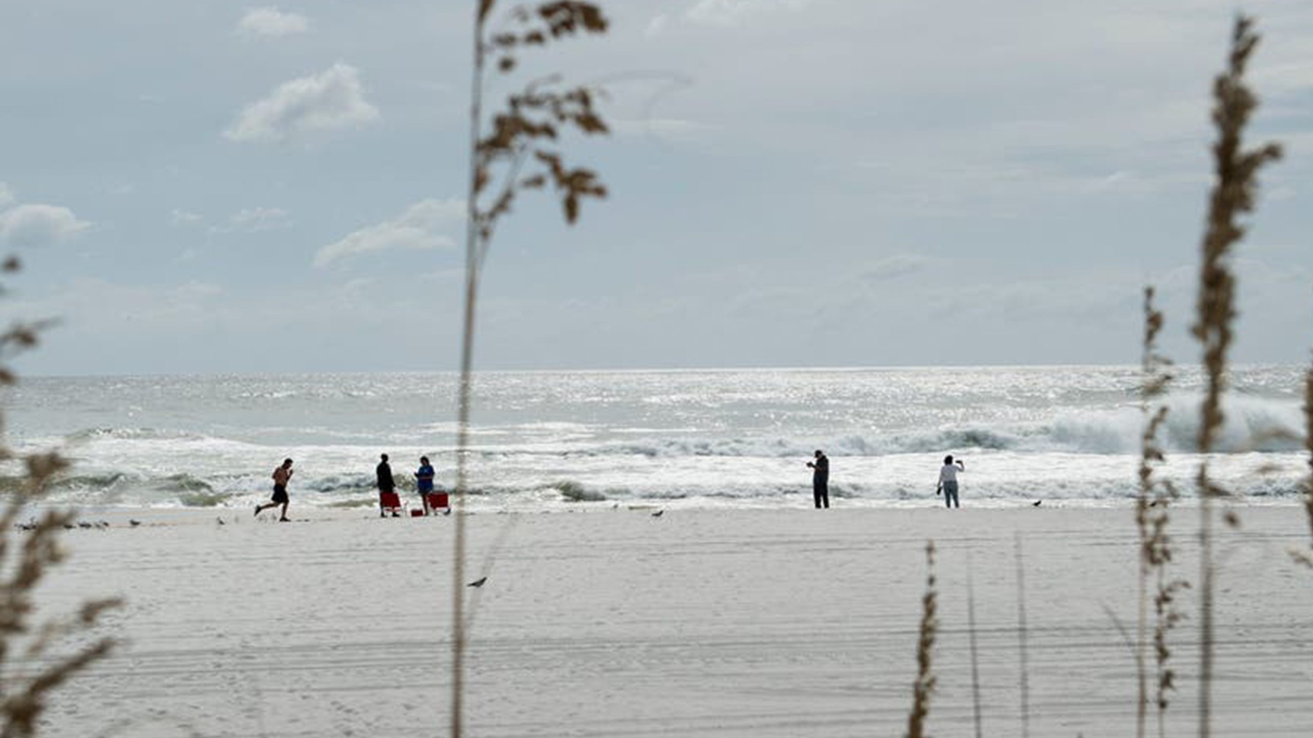 Father of 2 drowns after being caught in current trying to rescue seagull caught in fishing line — Great Neck Community news